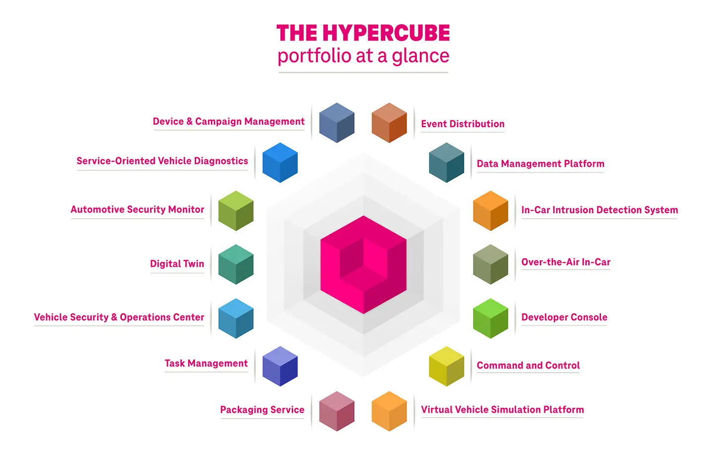 Hypercube portfolio Infographic