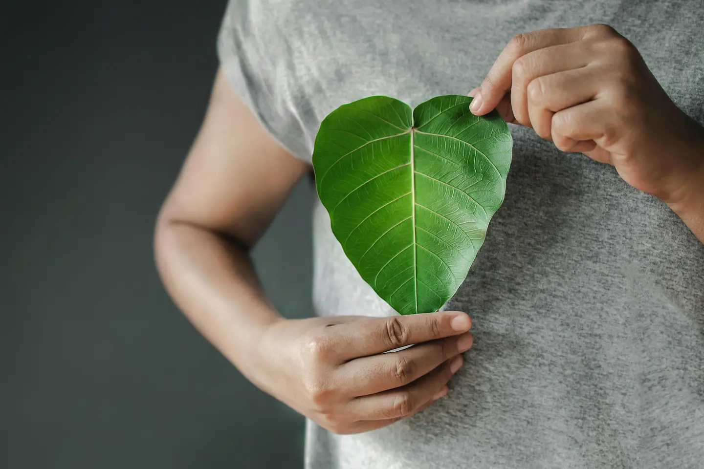 Une personne tient une feuille verte en forme de cœur.