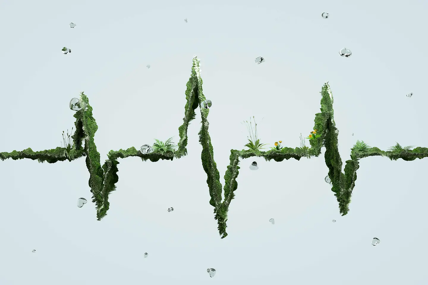 abstract representation of an electrocardiogram (EKG) line formed by green moss and small plants